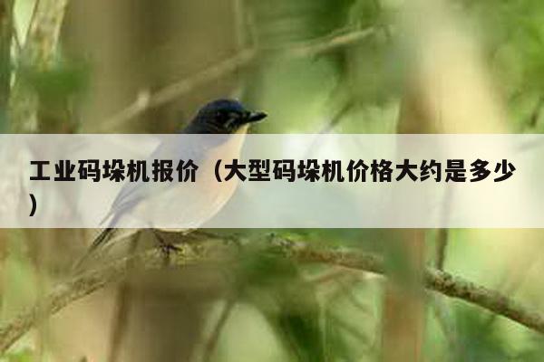 工業(yè)碼垛機報價(大型碼垛機價格大約是多少)