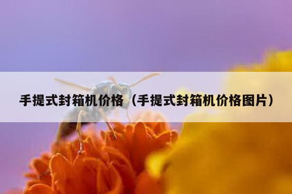 手提式封箱機價格(手提式封箱機價格圖片)