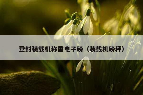 登封裝載機稱重電子磅(裝載機磅秤)