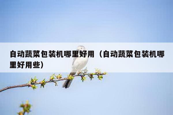 自動(dòng)蔬菜包裝機(jī)哪里好用(自動(dòng)蔬菜包裝機(jī)哪里好用些)