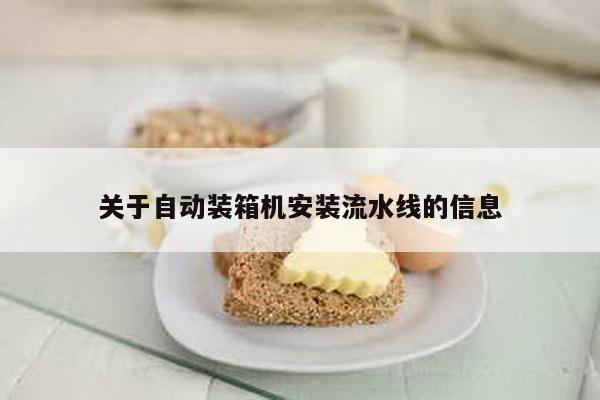 關于自動裝箱機安裝流水線的信息