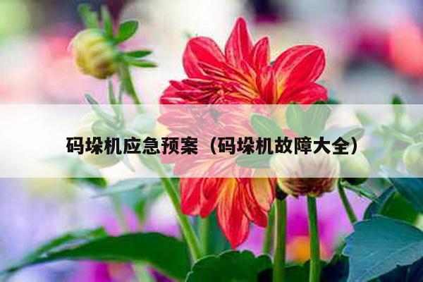 碼垛機應急預案(碼垛機故障大全)