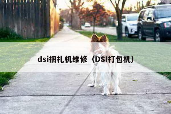dsi捆扎機維修(DSI打包機)