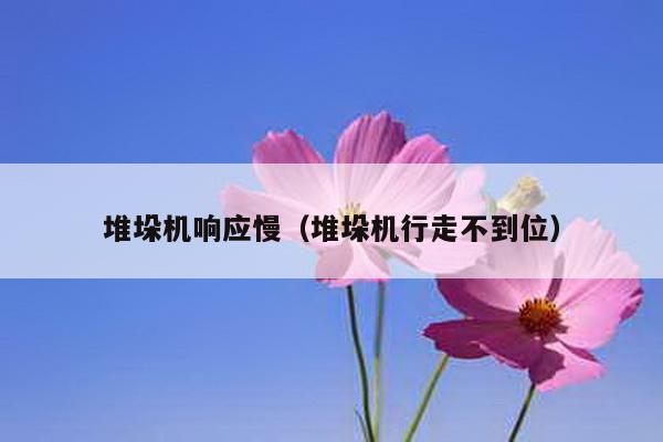 堆垛機響應慢(堆垛機行走不到位)