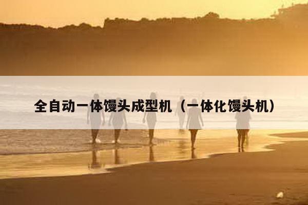 全自動(dòng)一體饅頭成型機(jī)(一體化饅頭機(jī))