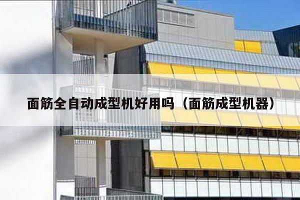 面筋全自動(dòng)成型機(jī)好用嗎(面筋成型機(jī)器)