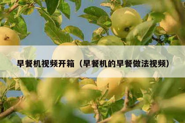 早餐機視頻開箱(早餐機的早餐做法視頻)